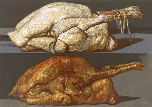 Roasting: TURKEY BEFORE & AFTER