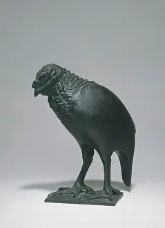 Pompon: Turkey