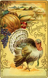 Pumpkin: Turkey and Fruit