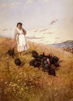 Gently: Turkey Girl