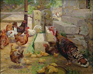 Gascoigne: Turkey and Hens ' with chicks