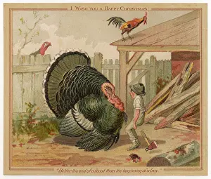 Turkeys: TURKEY AND ITS KILLER