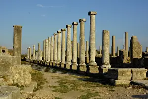 Antalya: Turkey, North East of Antalya, Perge