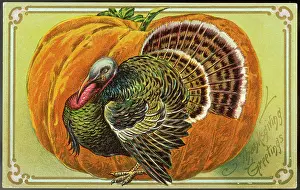 Thursday: Turkey and Pumpkin