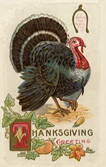 Pumpkin: Turkey, Pumpkin Vine