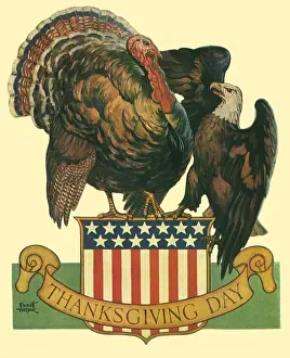 Aside: Turkey Shoving Eagle