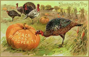 Convinced: Turkey at Thanksgiving