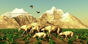 Alongside: Turkey vultures fly over a herd of Paraceratherium
