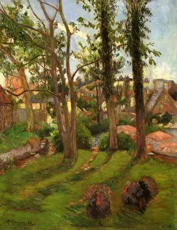 Climbs: Turkeys, by Gauguin