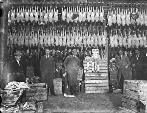 Poulterers: Turkeys in Poulterers