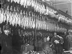 Poulterers: Turkeys in Poulterers