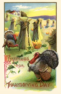 Bundles: Turkeys, Pumpkins, Hay