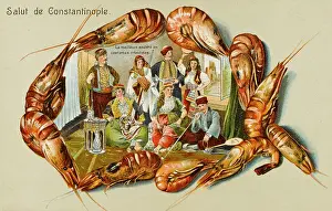 Shrimps: Turkish Costume - Oriental