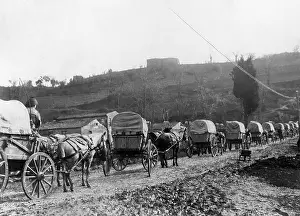 Trap: Turkish forces in World War I, 1915