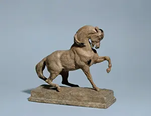 Barye: Turkish horse