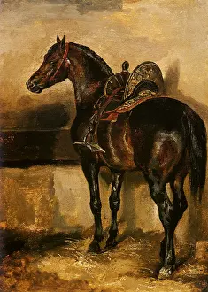 Equines: Turkish Horse in a Stable, by Gericault