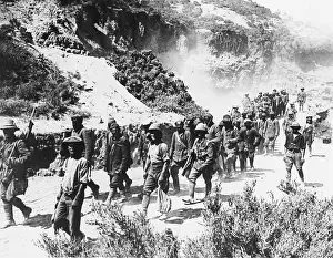 Gully: Turkish prisoners WWI