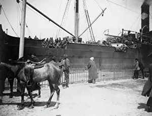 Gallipoli: Turkish troops in World War I, 1915