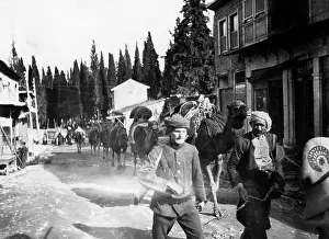 Provisions: Turkish troops in World War I, 1915