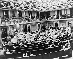 Turnip: The Turnip Day session of the Special Session