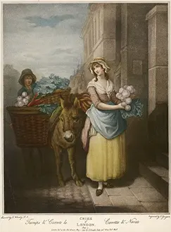 Carrots: TURNIPS & CARROTS SOLD