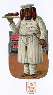 Proudly: Turnspit Dog