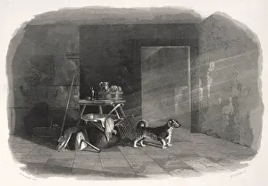 Turnspit: Turnspit Dog Type