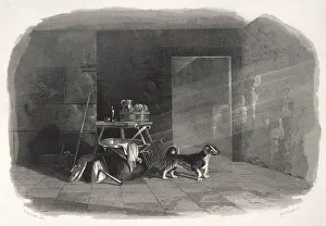 Turnspit: Turnspit Dog Type