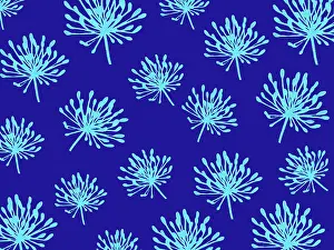 Turquoise: Turquoise agapanthus on a navy blue background
