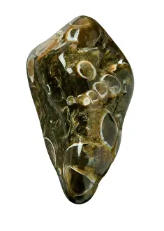 Agate: Turritella agate
