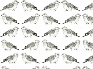 Doves: Turtle dove repeating pattern
