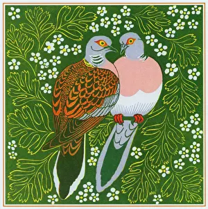 Doves: Two Turtle Doves