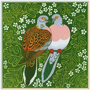 Doves: Two Turtle Doves
