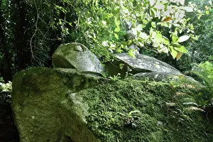 Ligorio: Turtle sculpture, Garden of Bomarzo, Bomarzo, Lazio, Italy