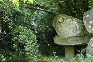 Viterbo: Turtle sculpture, Garden of Bomarzo, Bomarzo, Lazio, Italy