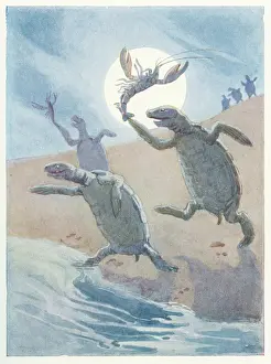 Gryphon: Turtles throwing lobsters into the sea