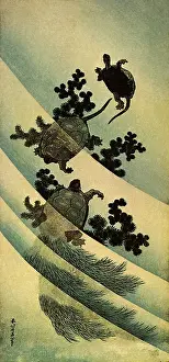 Tortoises: Turtles in the Water, by Hokusai