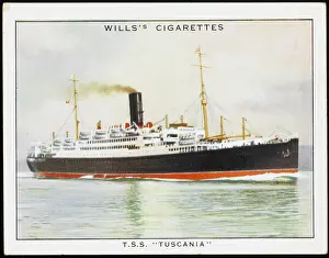 Plying: Tuscania Steamship