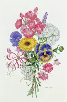 Viola: Tussie-Mussie or Nosegay, Late Summer