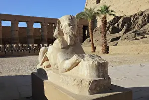 Papyriform: Tutankhamun sphinx, Great Court, Karnak Temple, Thebes
