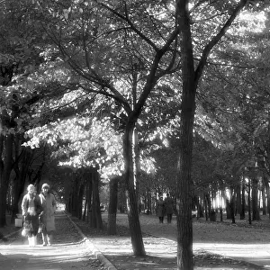 Tverskoy: Tverskoy boulevard in Moscow, 1986
