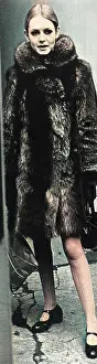 Raccoon: Twiggy