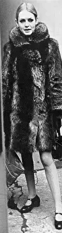 Raccoon: Twiggy