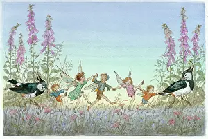 Lapwings: Twilight Dance - fairies and lapwings dancing