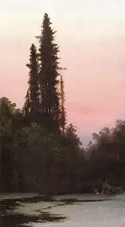 Redwood: Twilight Scene with Stream and Redwood Trees