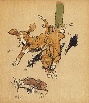 Tally: Twin puppies chasing a rabbit