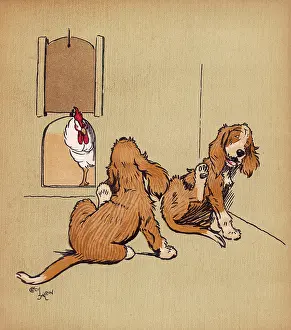 Annoyed: Twin puppies and cockerel