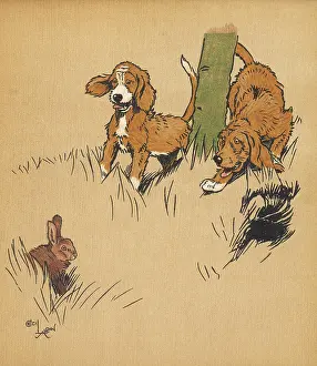 Hutch: Twin puppies and escaped rabbit