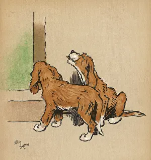 Venture: Twin puppies explore