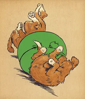 Footstool: Twin puppies falling off footstool